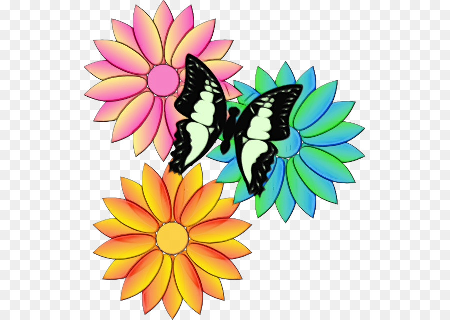 Бабочка，мотыльки и бабочки PNG
