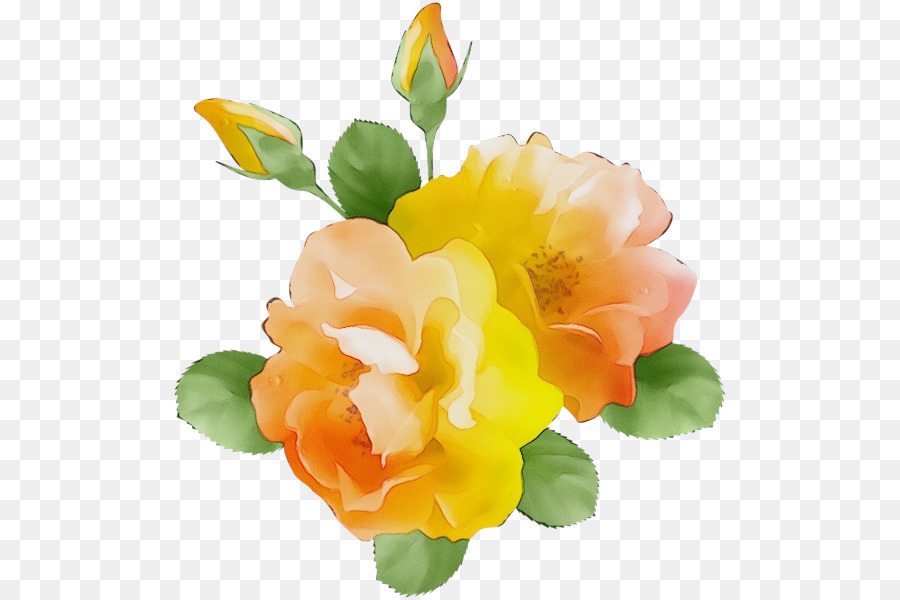 цветок，апельсин PNG