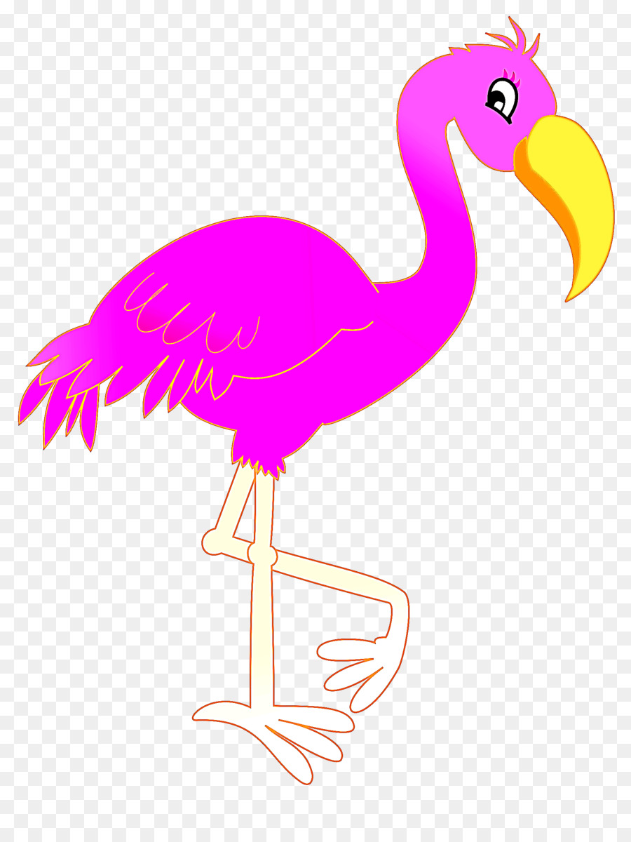 птица，Большой фламинго PNG