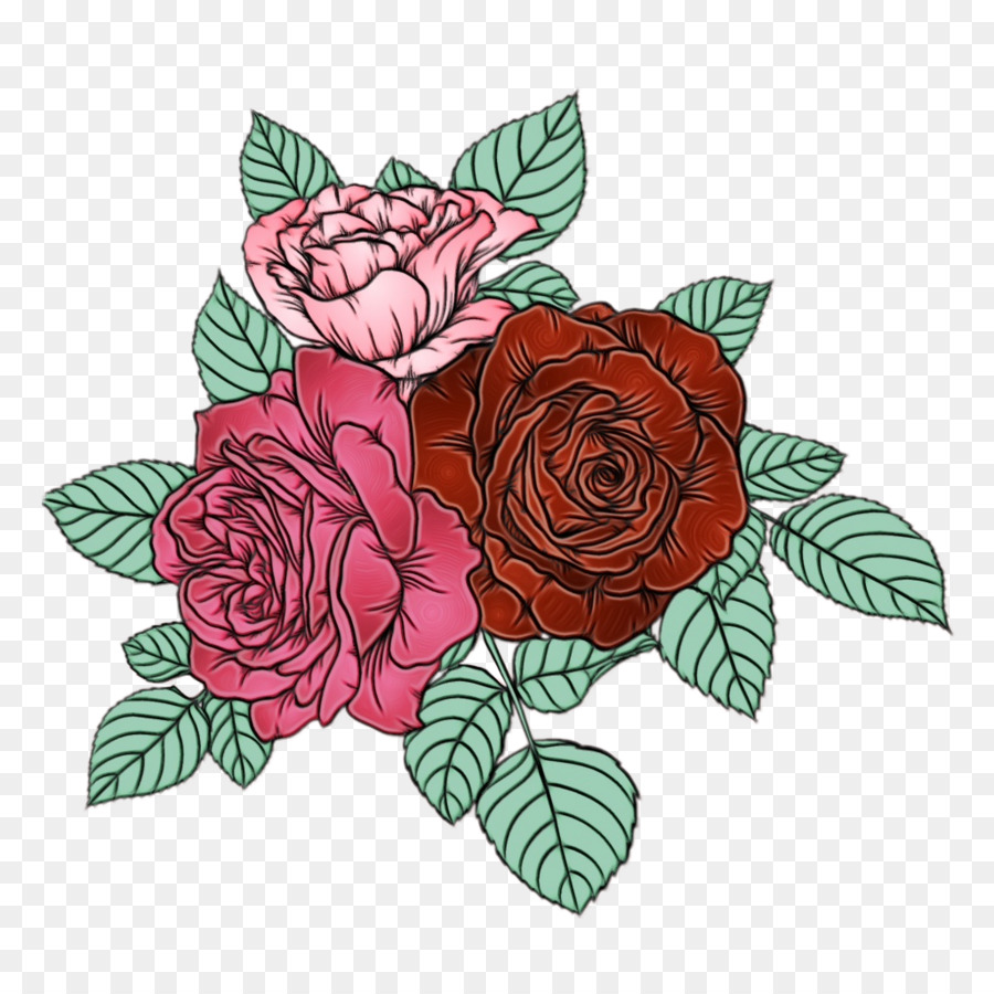 Роза，цветок PNG
