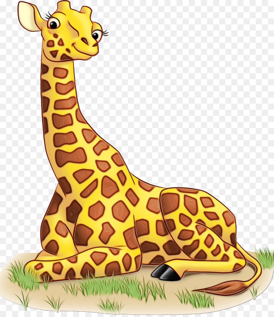 свободно жираф, жирафовые, наземных животных прозрачное изображение.