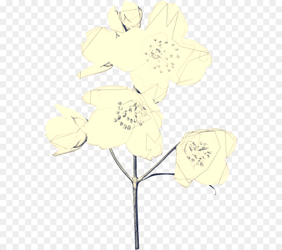 Лист，срезанные цветы PNG