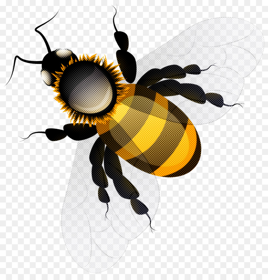 насекомое，пчела PNG
