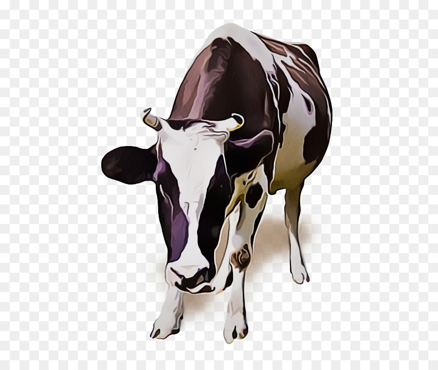 бычий，молочная корова PNG