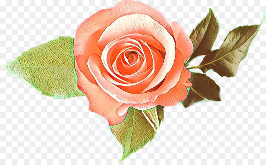 цветок，Сад роз PNG