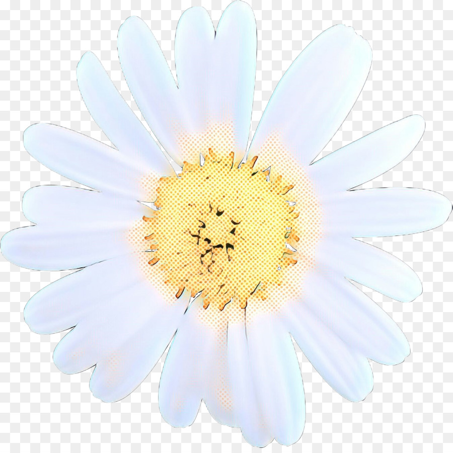 цветок，белый PNG