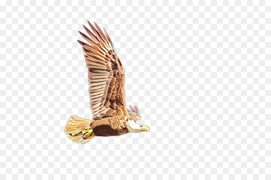 орел，Золотой орел PNG