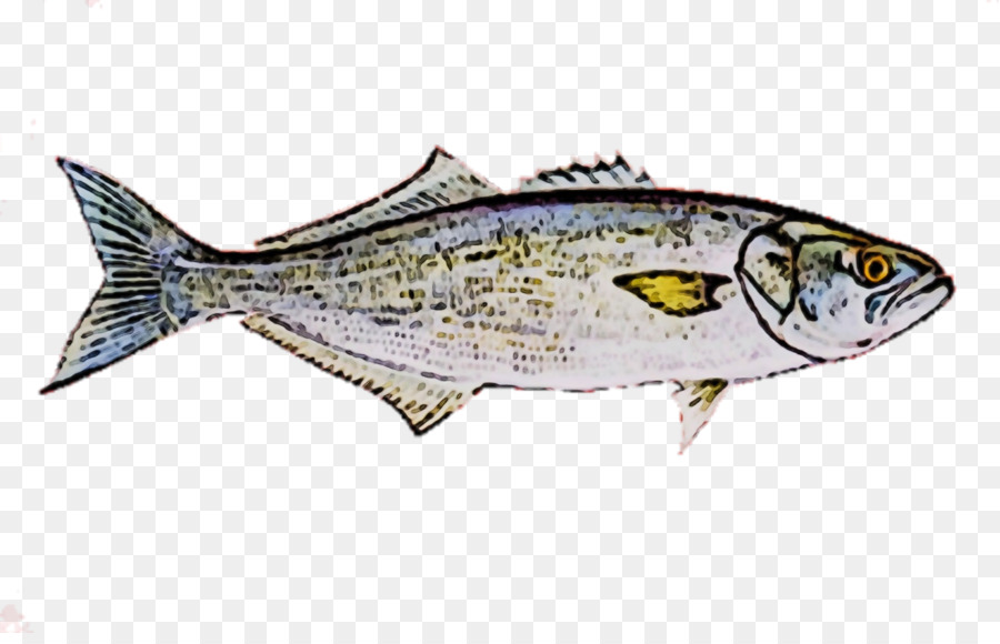 рыба，рыбные продукты PNG