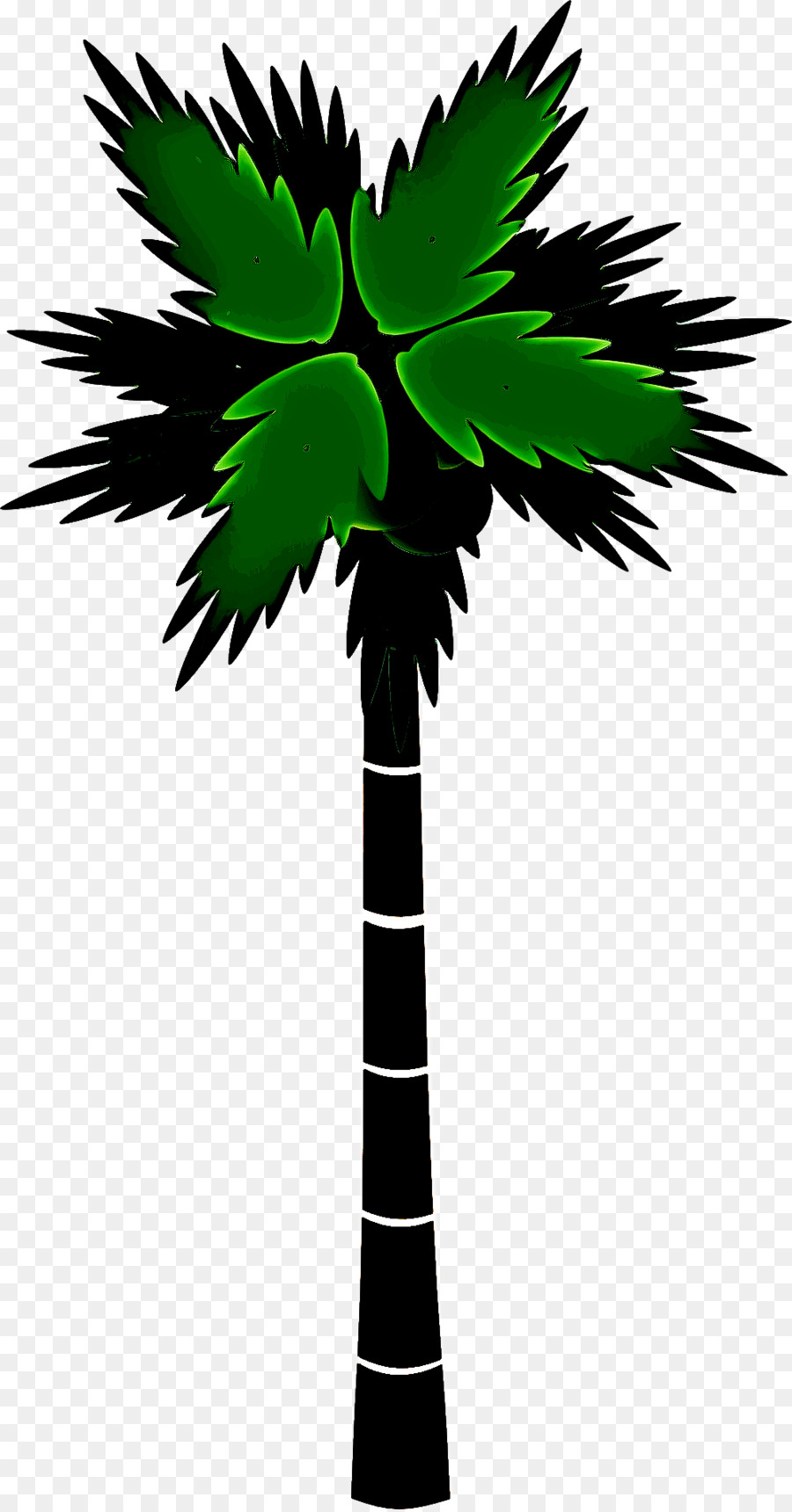 Дерево，пальму PNG