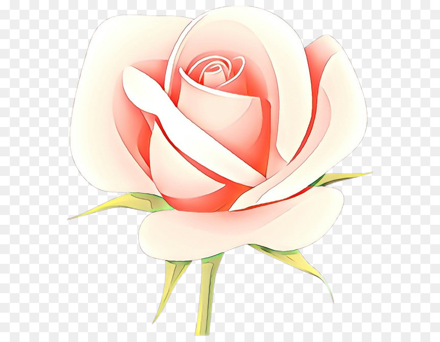 садовые розы，Роза PNG