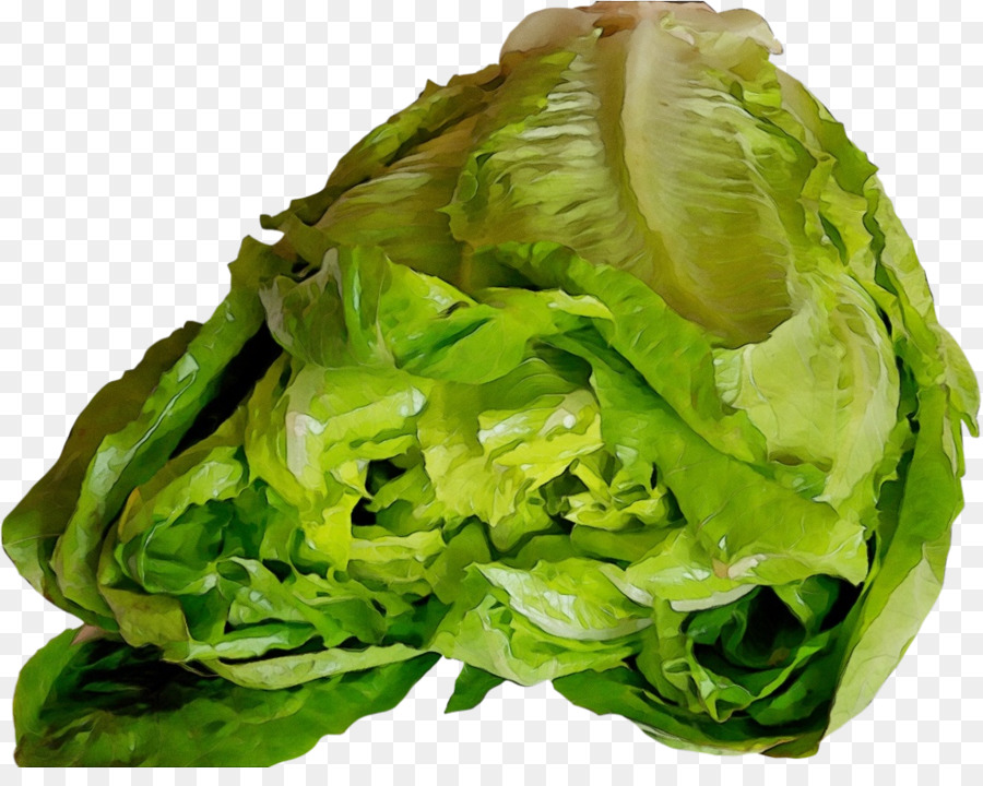 Листовой овощ，салат Iceburg PNG