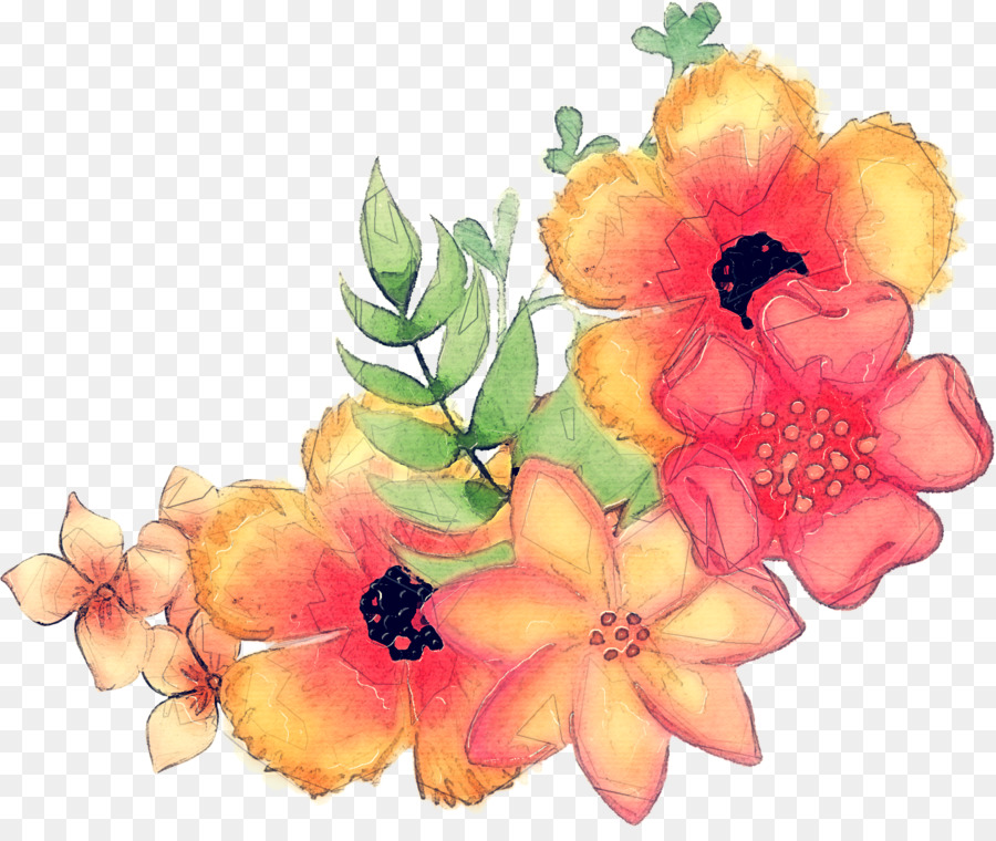 Гавайский гибикус，цветок PNG