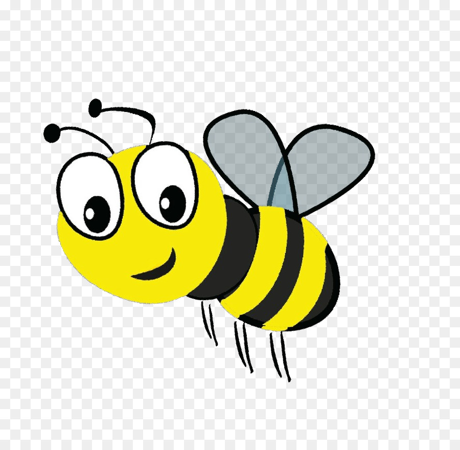 пчела，насекомое PNG