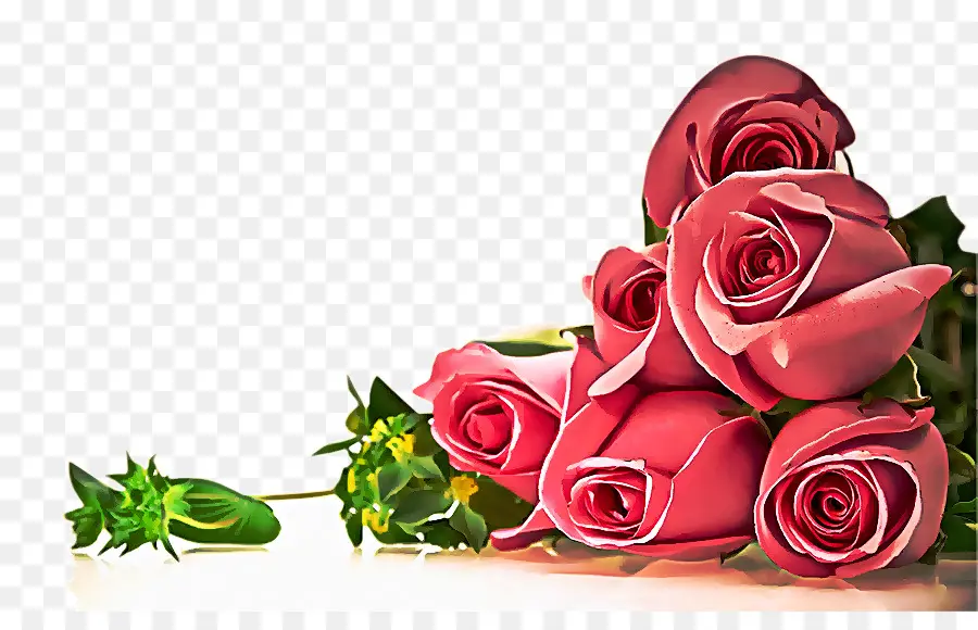 Роза，садовые розы PNG