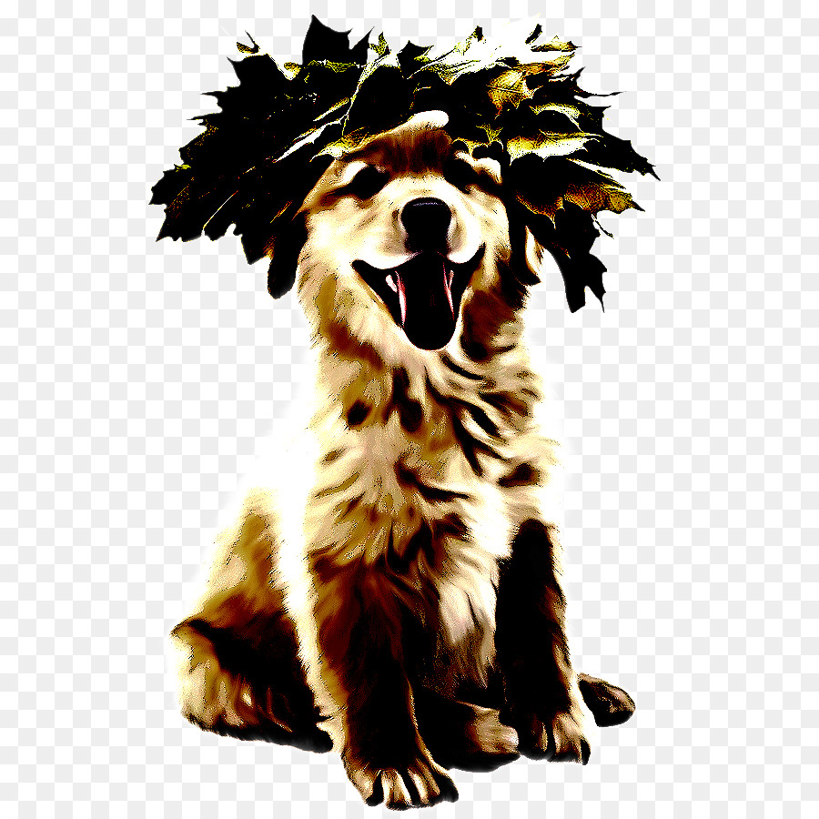 собака，порода собаки PNG