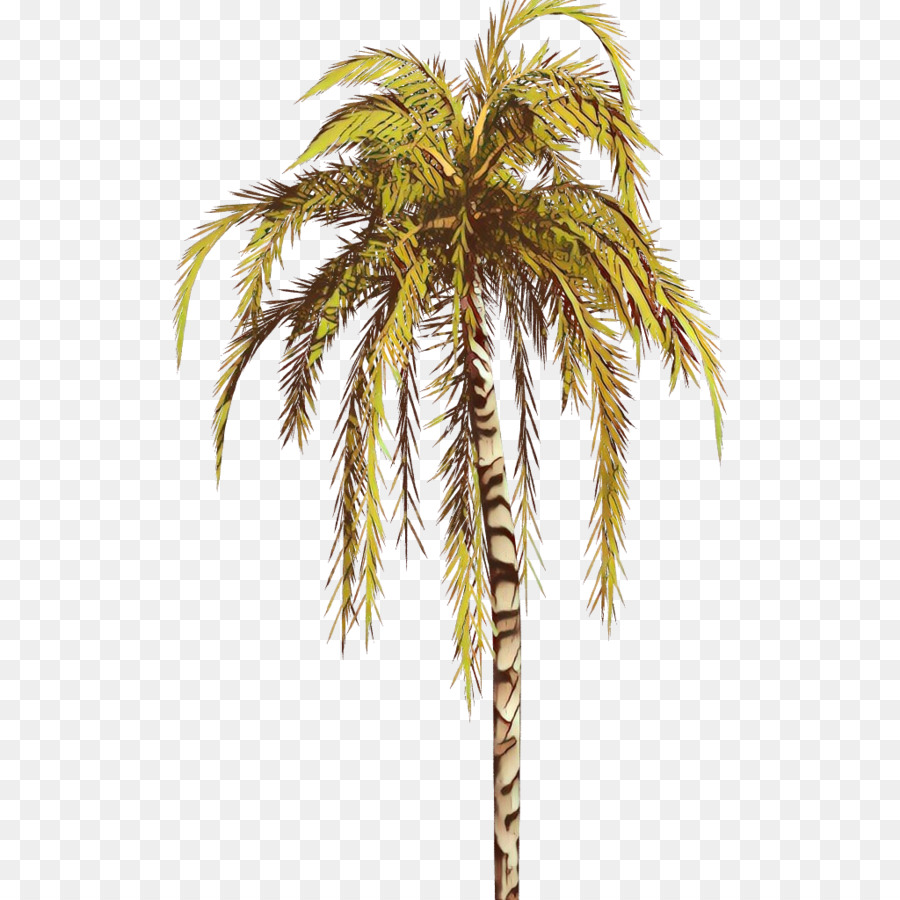 дерево，Пальма PNG