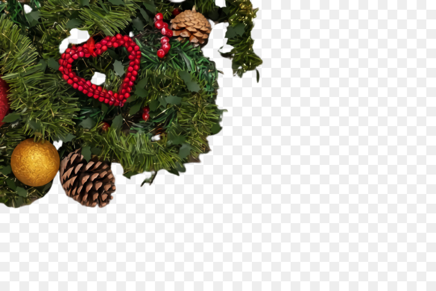 Орегон сосна，Рождественская елка PNG