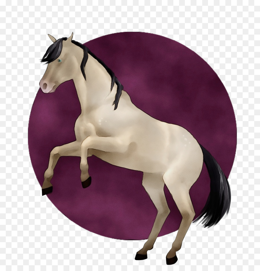 лошадь，фиолетовый PNG