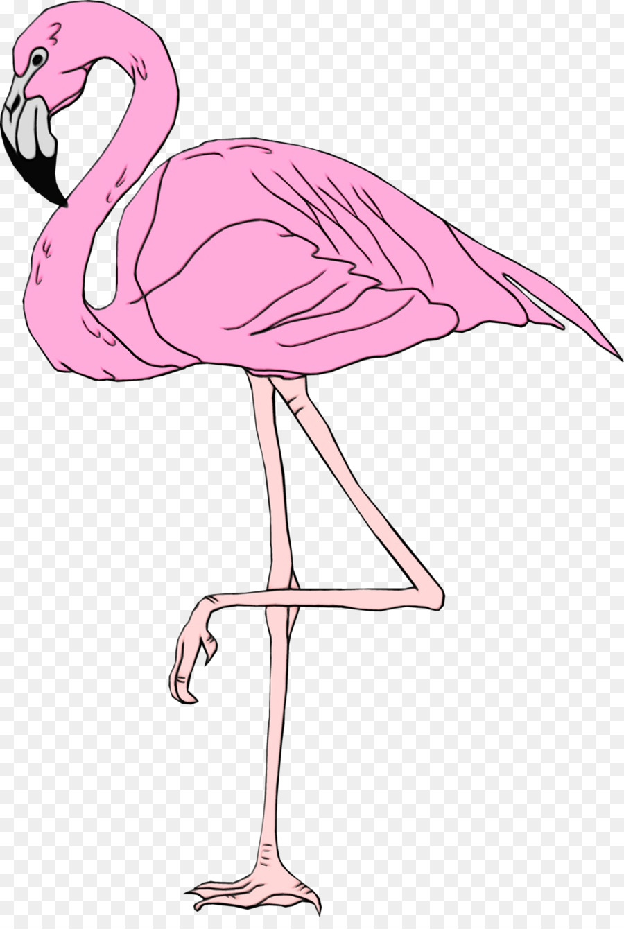 птица，фламинго PNG