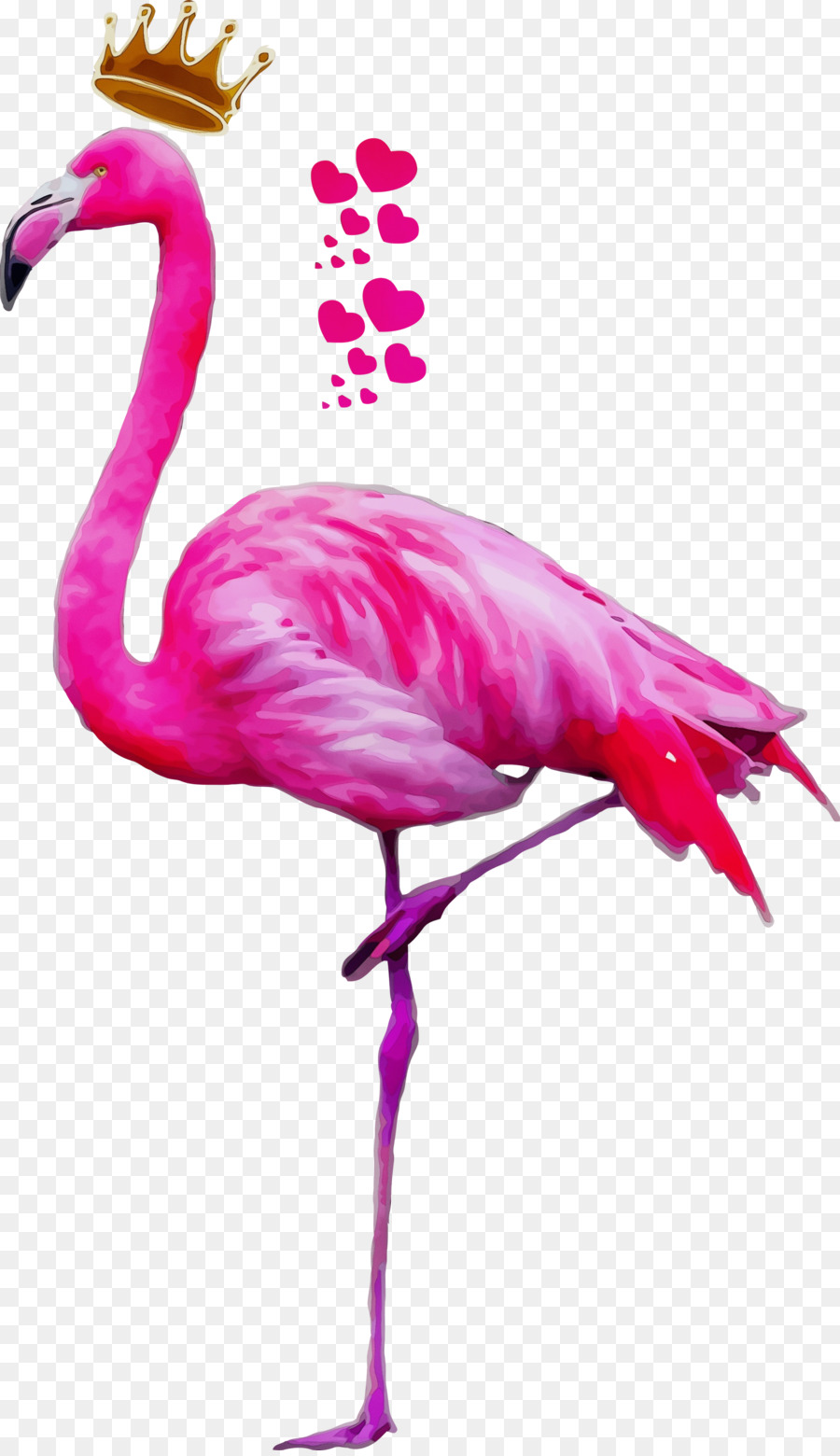 фламинго，птица PNG