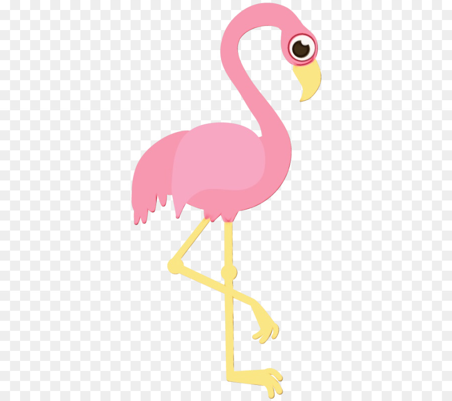 птица，Большой фламинго PNG