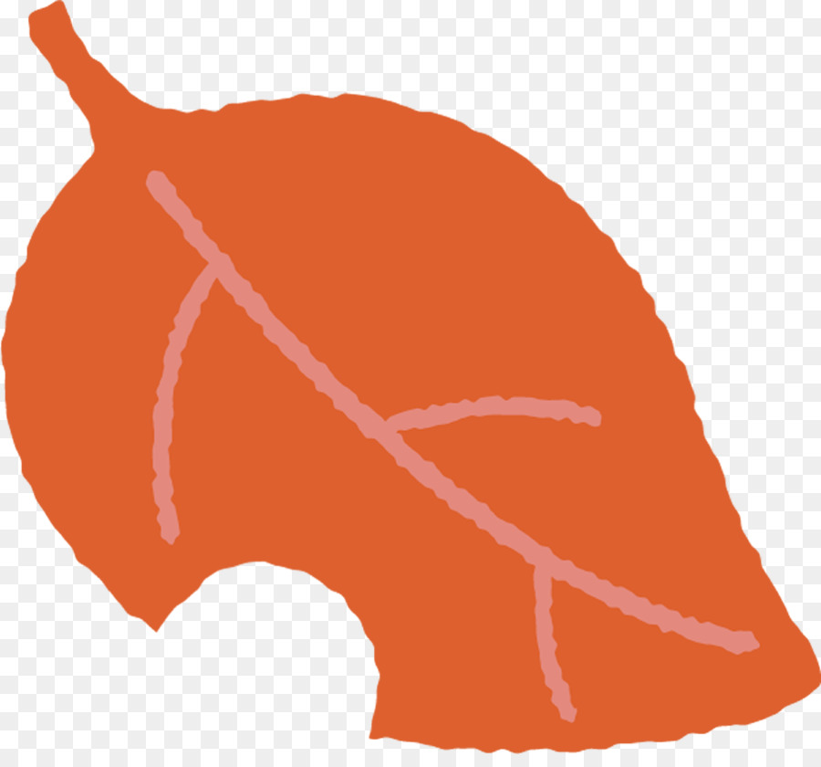 апельсин，лист PNG