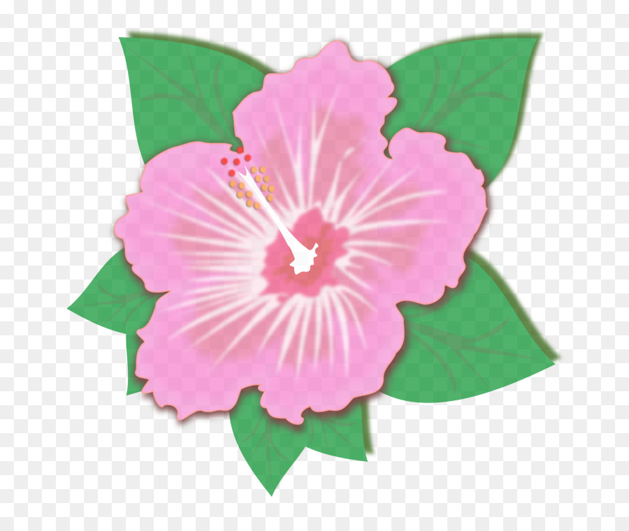 розовый，цветок PNG