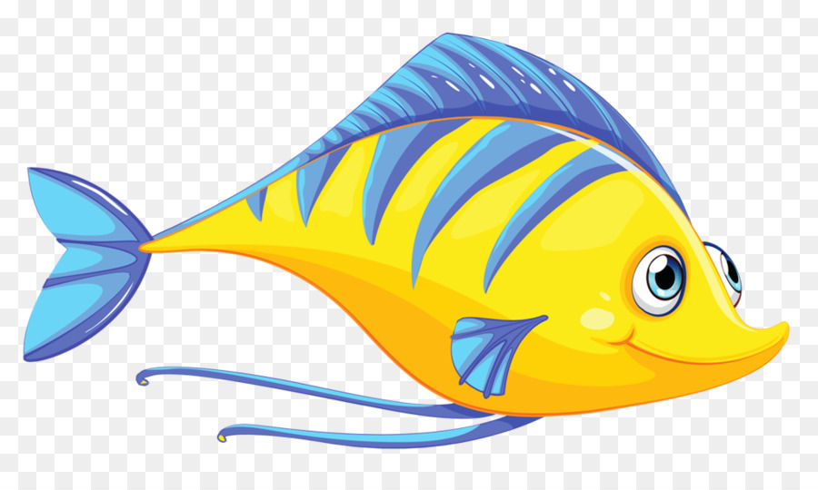 Рыбы，Pomacanthidae PNG
