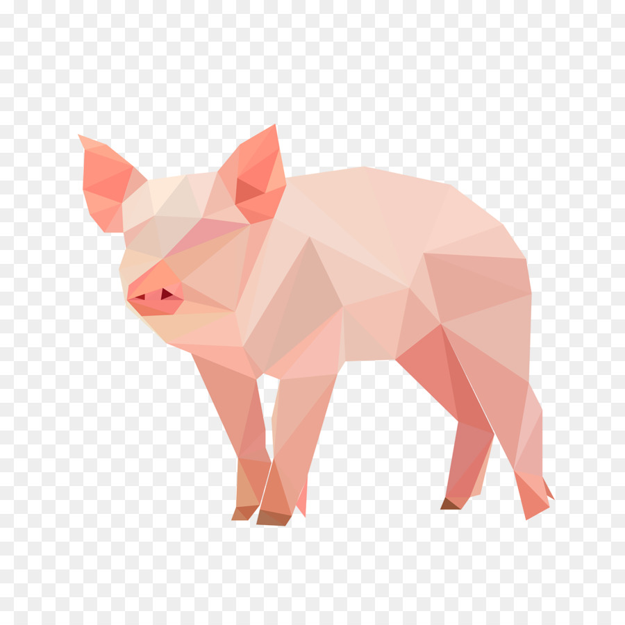 Домашняя свинья，Suidae PNG