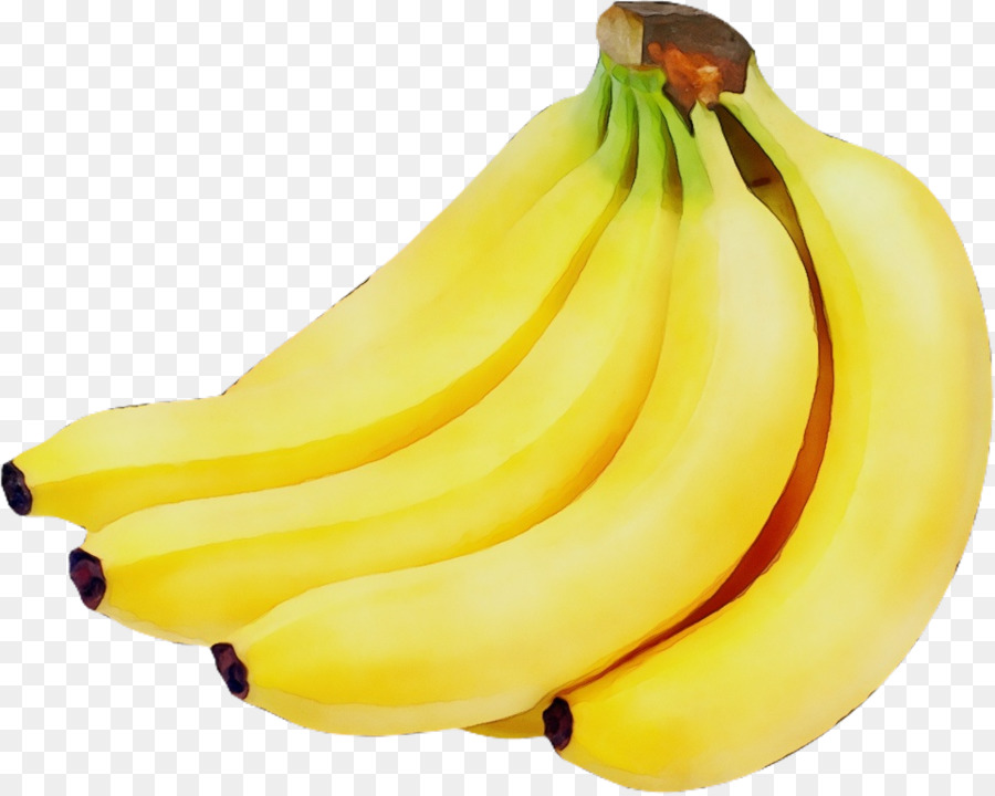 банан семье，банан PNG