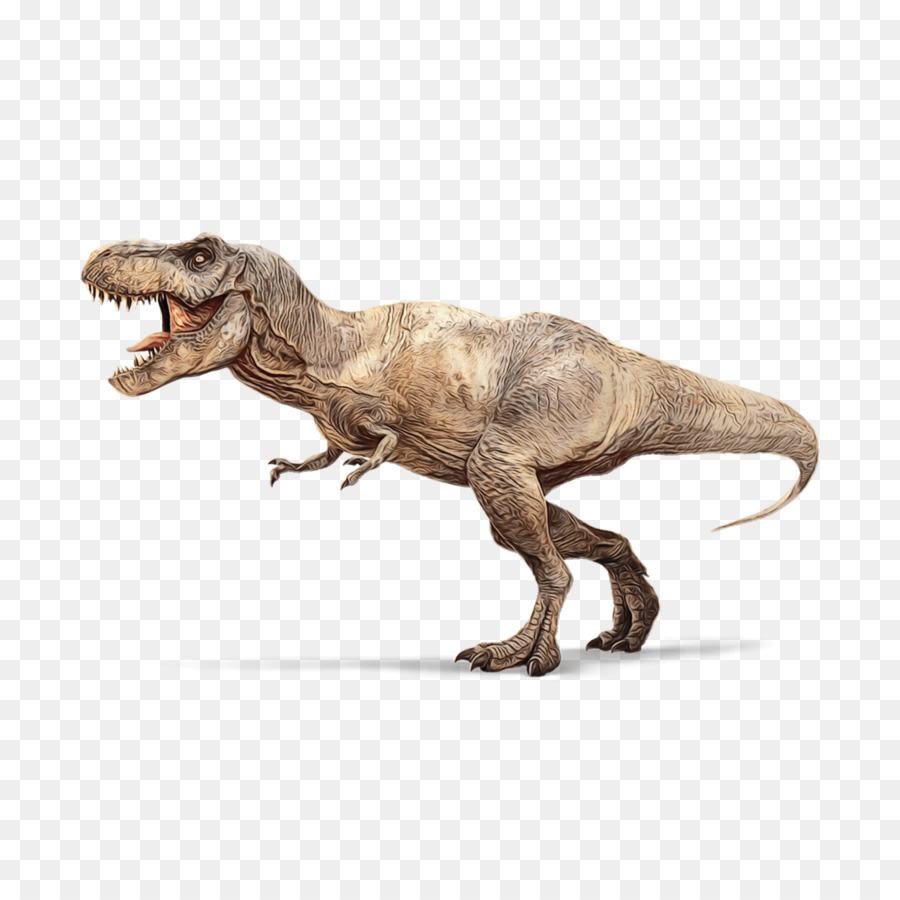 динозавр，тиранозавр PNG