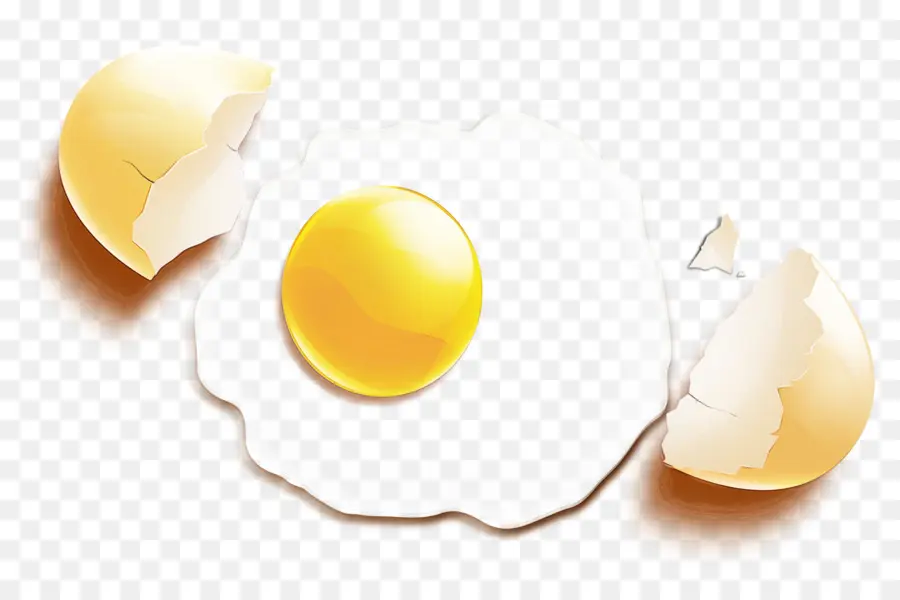 яичный желток，Яичный белок PNG
