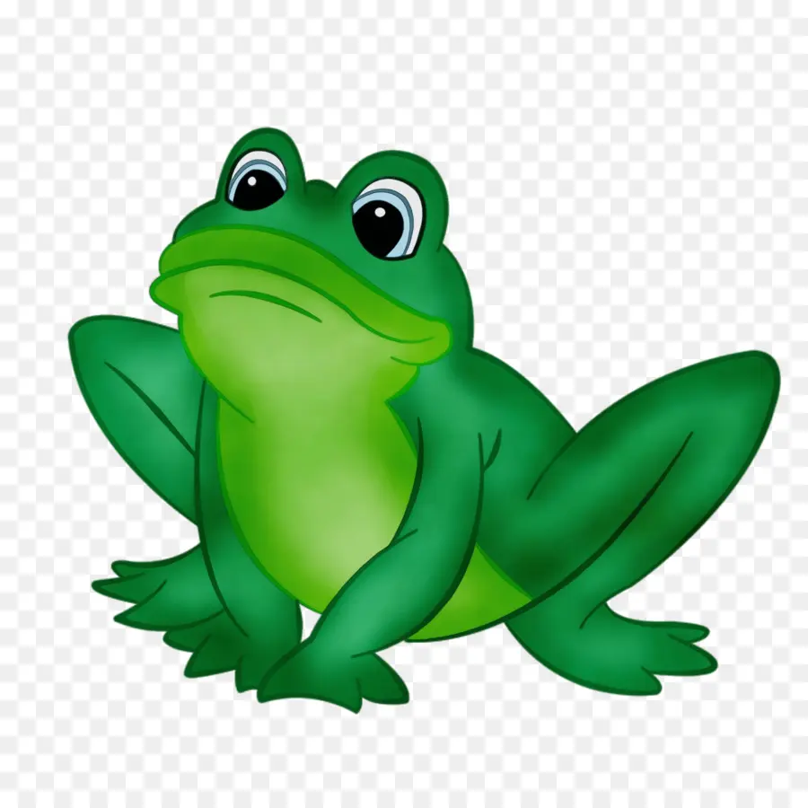 зеленый，Лягушка PNG