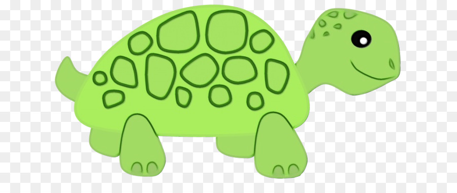 зеленый，черепаха PNG