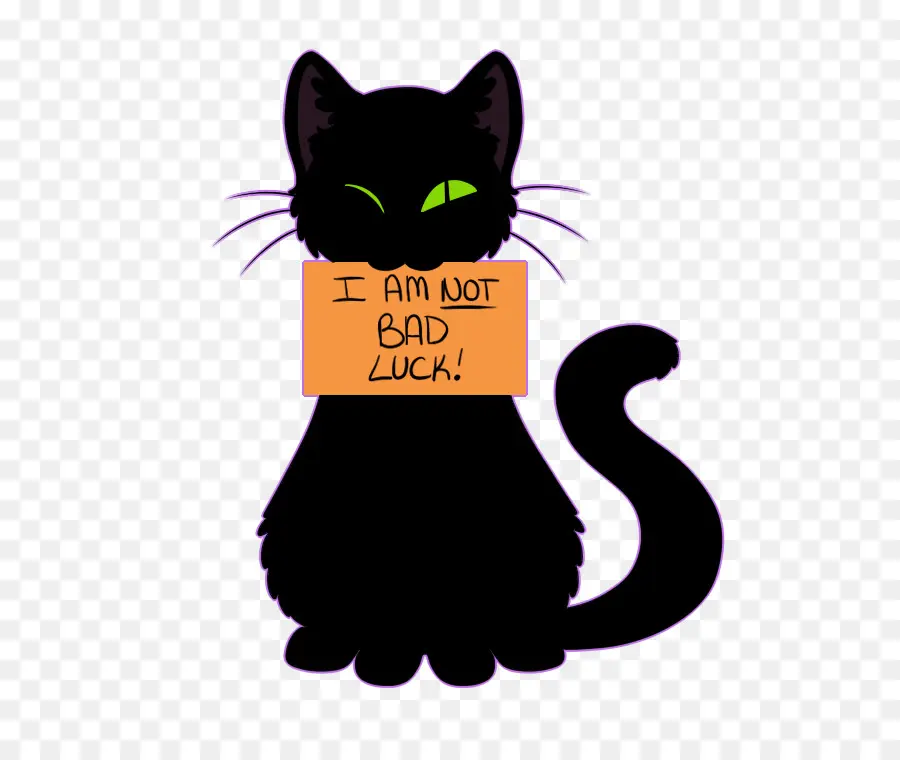 кошка，Черный кот PNG
