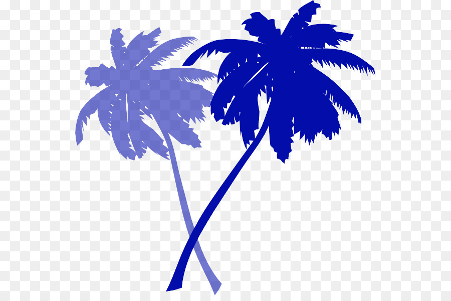 Лист，пальму PNG