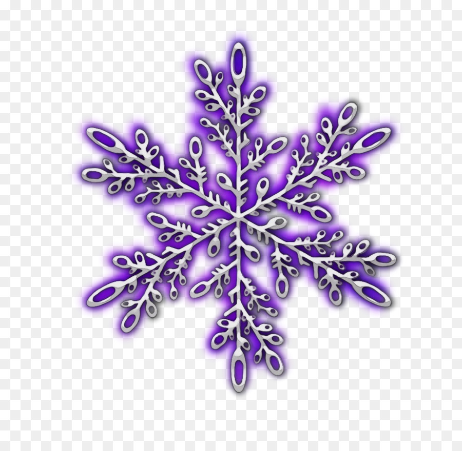 Pretty.purple.snowflake reddit