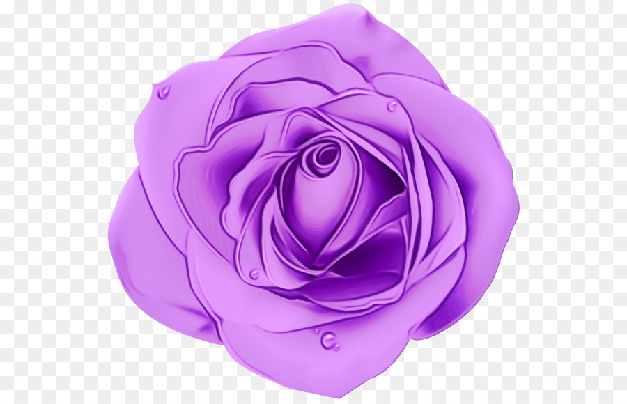 Фиолетовый，фиолетовый PNG