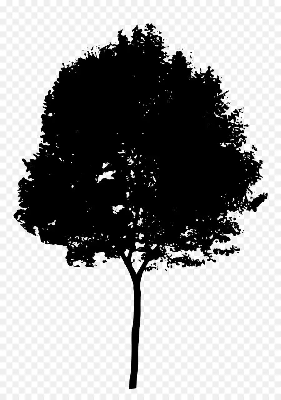 Дерево，черный PNG