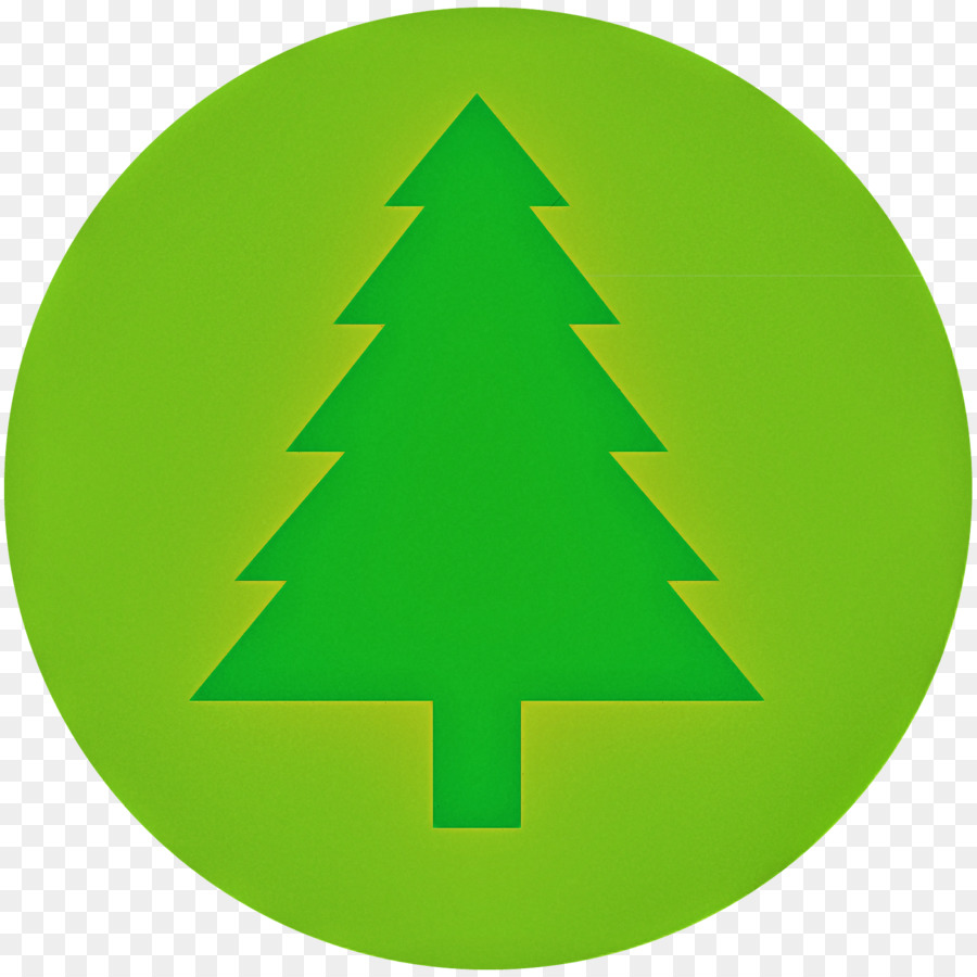 зеленый，Рождественская елка PNG