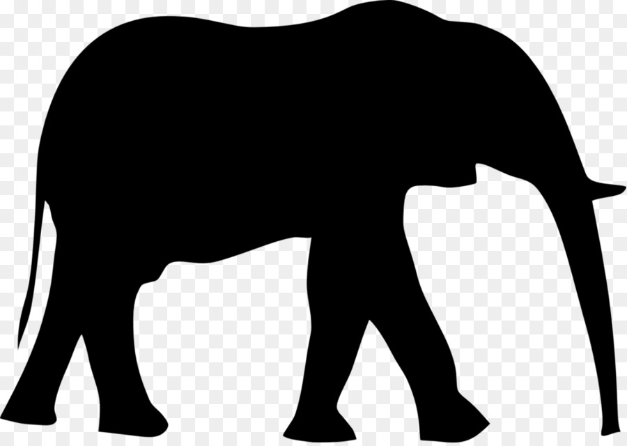 Слон，индийский слон PNG