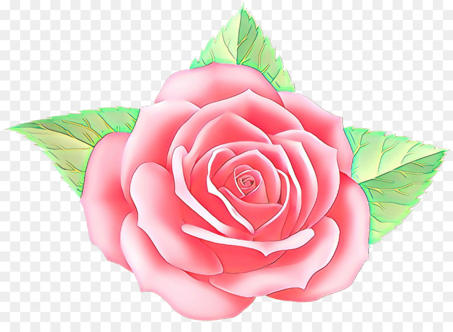 Сад роз，розовый PNG