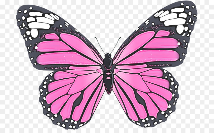 Бабочки розовые распечатать. Розовые бабочки. Розовые бабочки на прозрачном фоне. Розовые бабочки на белом фоне для печати. Бабочки картинки для печати.