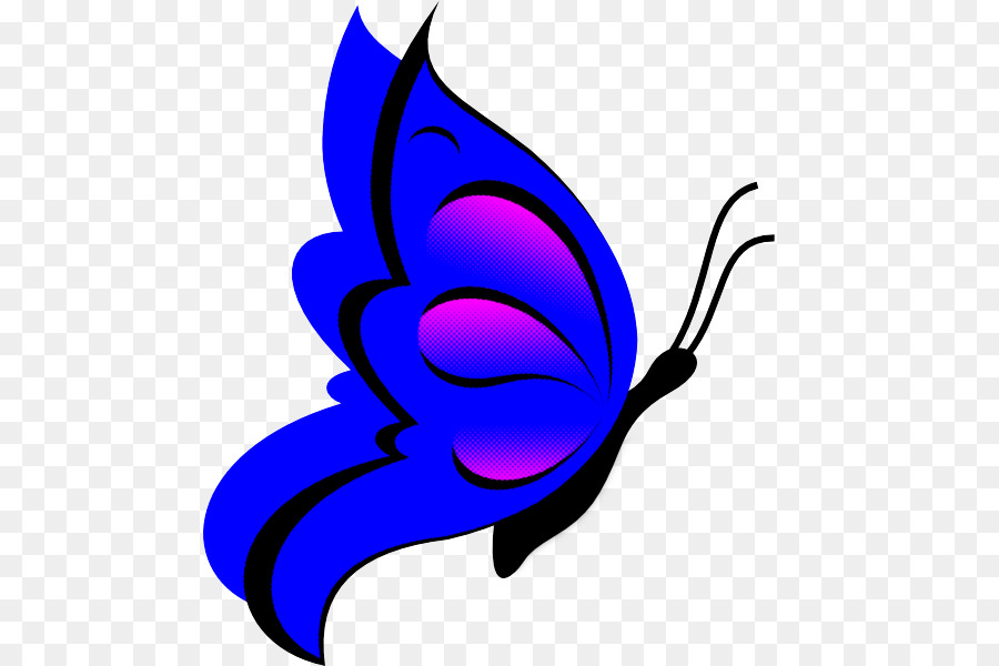 Бабочка，синий электрик PNG