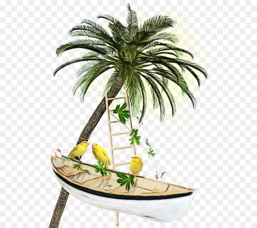 пальму，Дерево PNG
