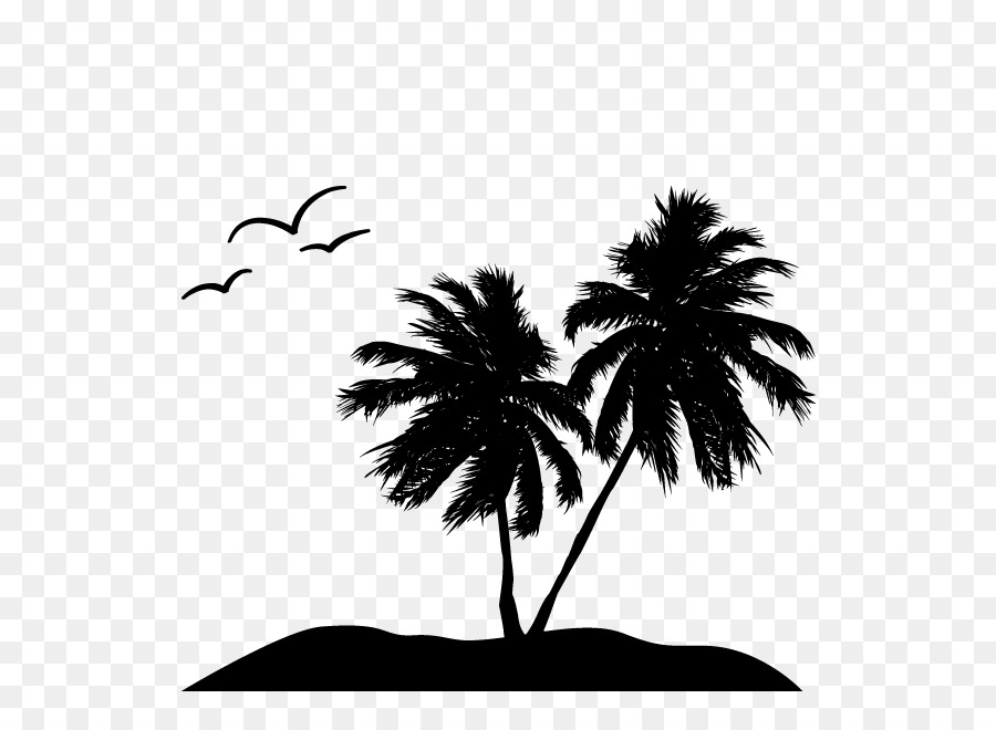 Дерево，пальму PNG