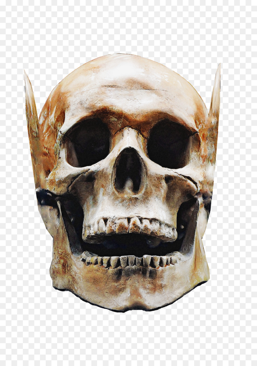 Страшная голова скелета
