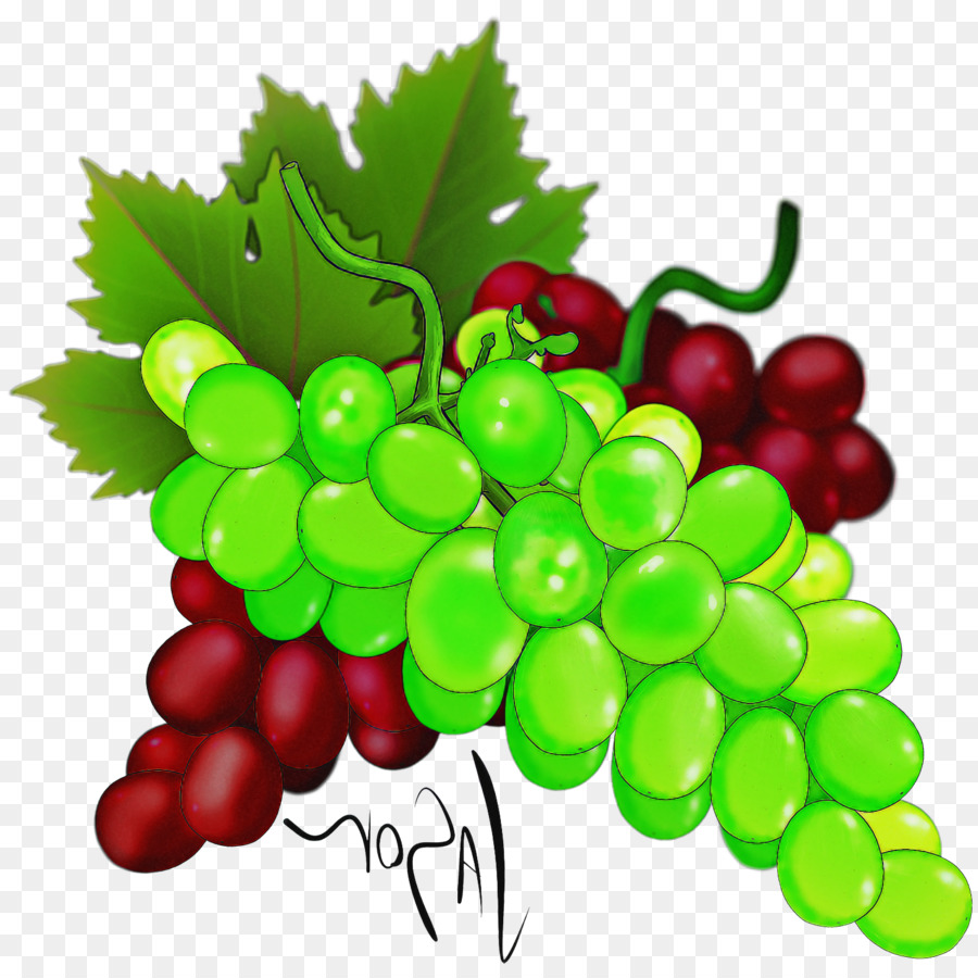 Мультяшный виноград на прозрачном фоне
