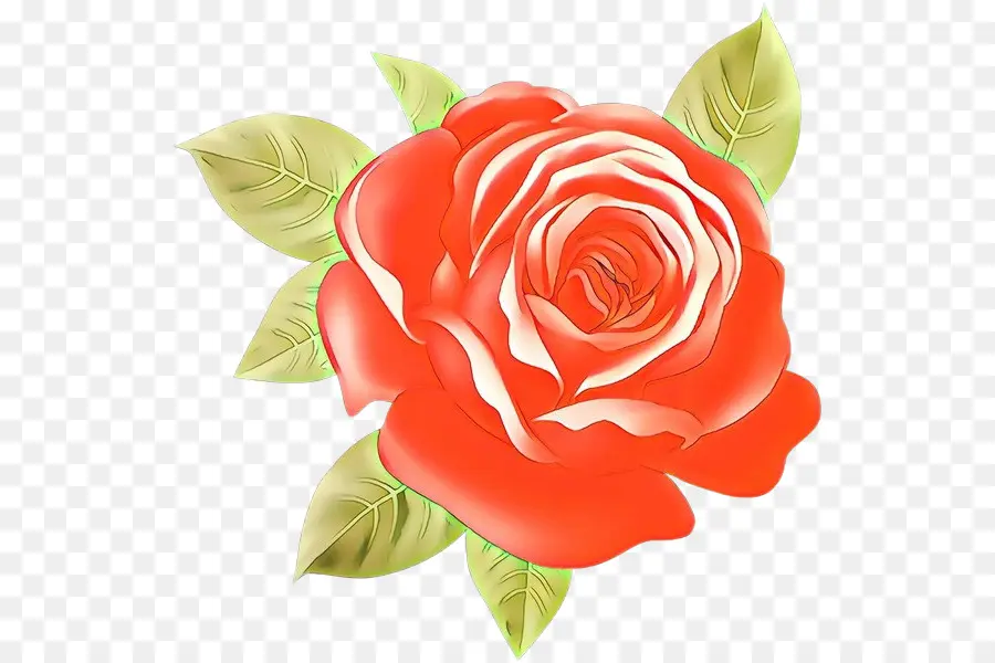 цветок，Сад роз PNG