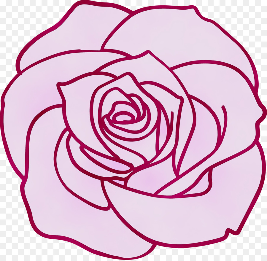 розовый，Роза PNG